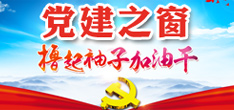 合作伙伴1